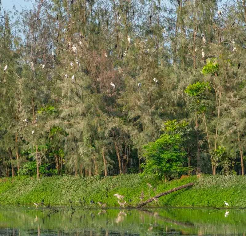Environment