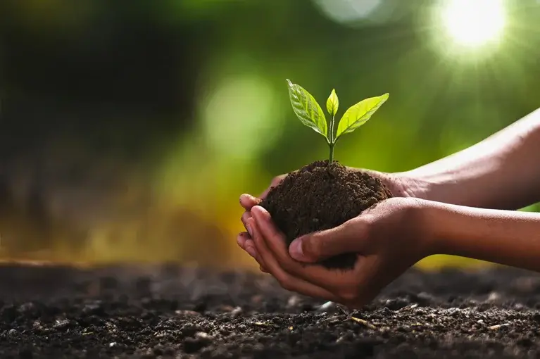 Sustainability